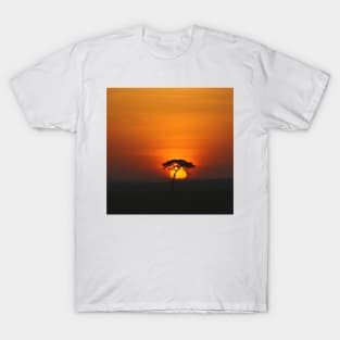 Desert Sunset T-Shirt